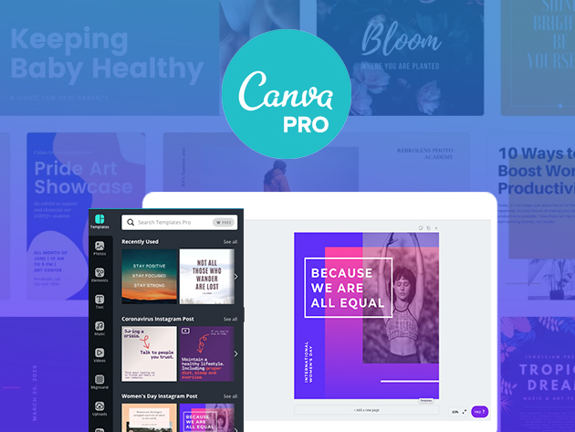 canva pro gratis untuk sekolah dan yayasan