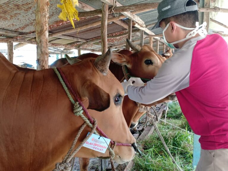 tentang kurban